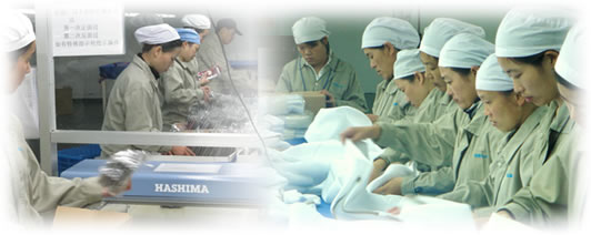 ���i�̗l�q